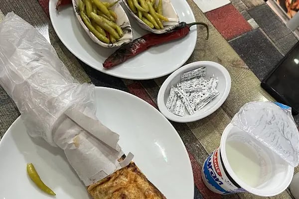 Asi döner - Resim 20