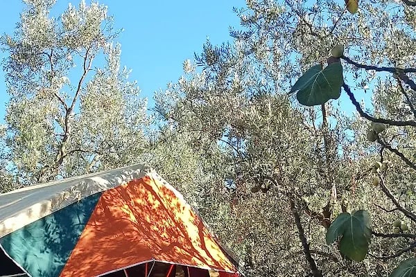 Parvan Camping - Resim 19