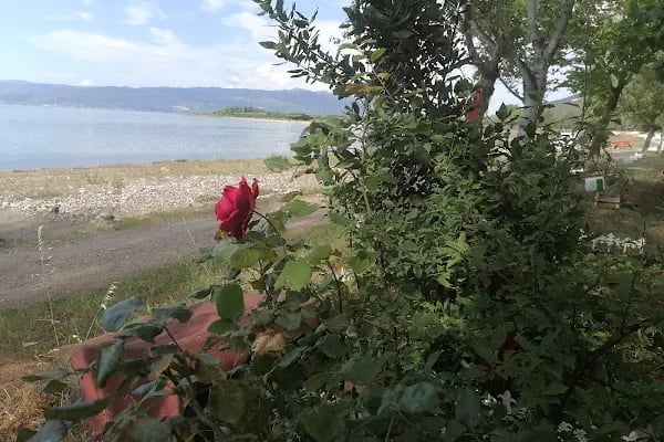 Parvan Camping - Resim 18
