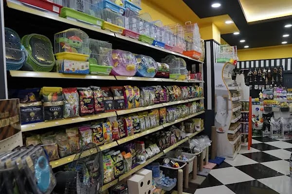 Sakarya Doğa Petshop 5 Serdivan - Resim 13