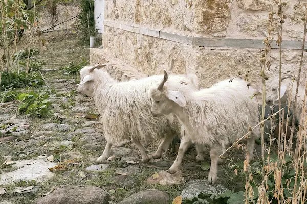 Anadolu Açık Hava Müzesi "Yaşayan Köy" - Resim 11
