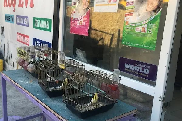 Mert Eren petshop - Resim 3
