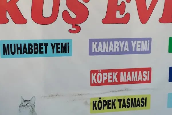 Mert Eren petshop - Resim 7
