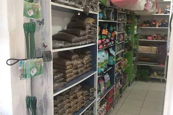 Mert Eren petshop - Resim 4