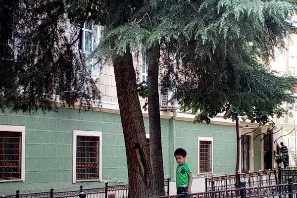 Çınar Cami - Resim 18