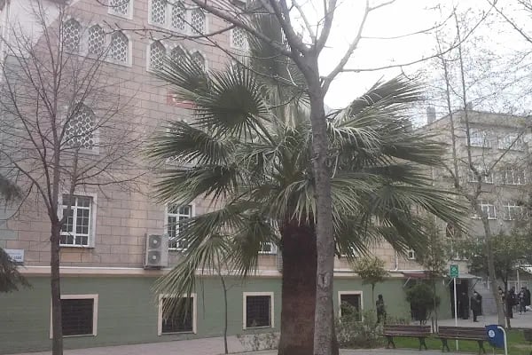 Çınar Cami - Resim 14