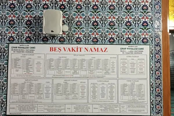 Çınar Cami - Resim 15