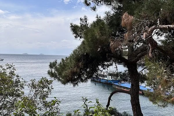 Adalar Web Tasarım & SEO Ajansı - Resim 14