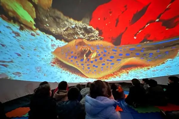 İstanbul Planetaryum - Resim 8