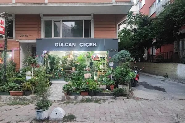 Gülcan çiçek - Resim 2