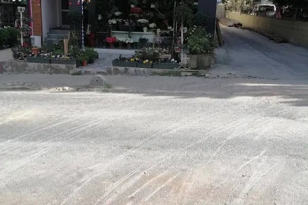 Gülcan çiçek - Resim 7