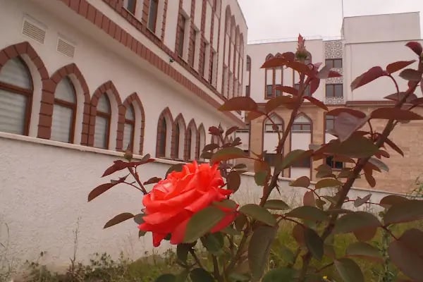 Hacı Bektaş Veli Anadolu Lisesi - Resim 18