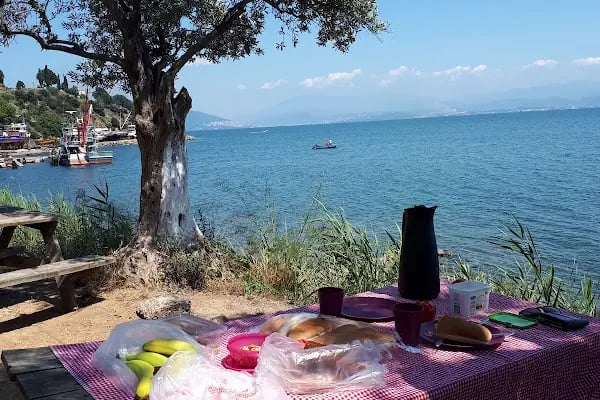 Deniz Atı Campıng - Resim 10