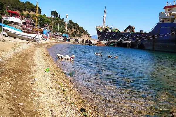 Deniz Atı Campıng - Resim 20