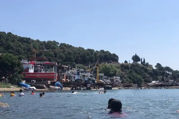Deniz Atı Campıng - Resim 13