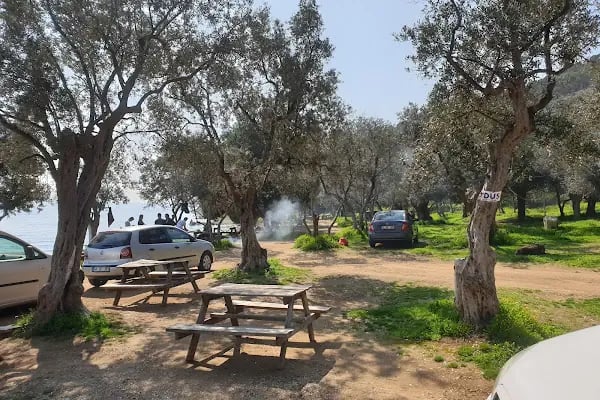 Deniz Atı Campıng - Resim 9