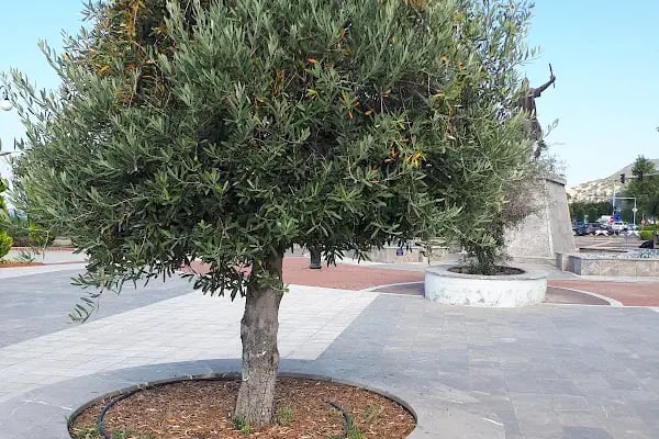 Alaaddin Keykubat Parkı - Resim 19