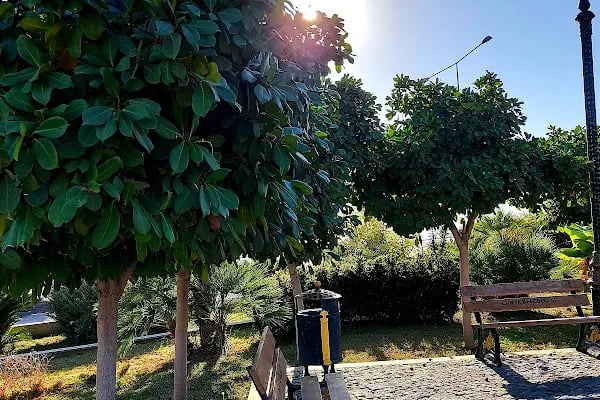 Alaaddin Keykubat Parkı - Resim 9