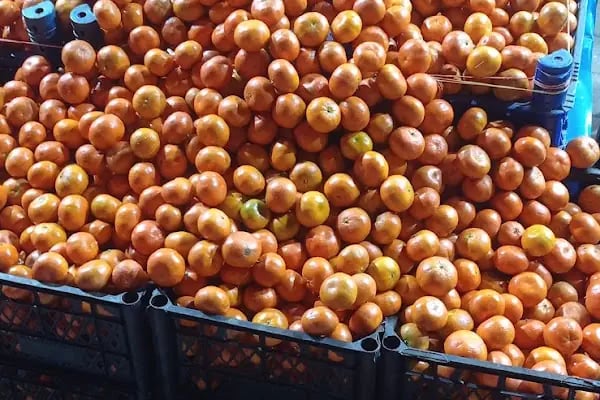 SEÇ MARKET ALTINDAĞ ÇAMLIK - Resim 8