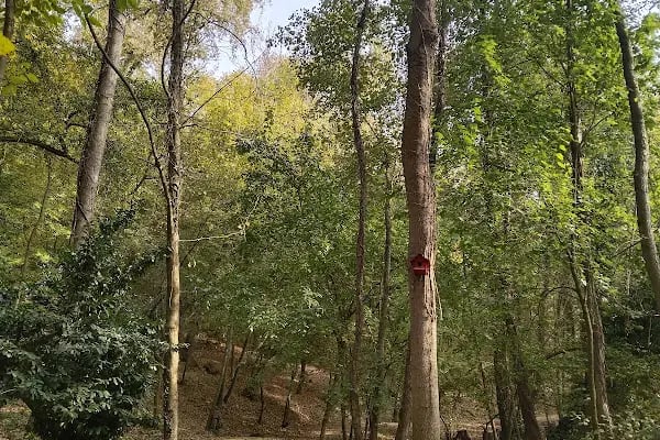Saklı Vadi Mesire Alanı - Resim 10
