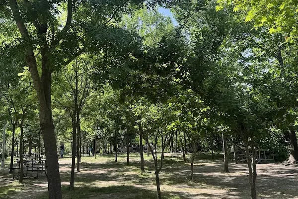 Saklı Vadi Mesire Alanı - Resim 2