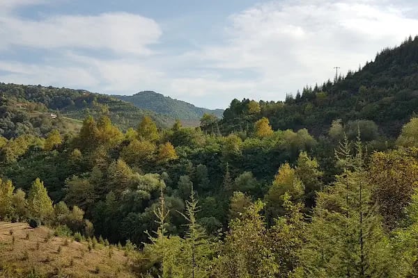 Saklı Vadi Mesire Alanı - Resim 9