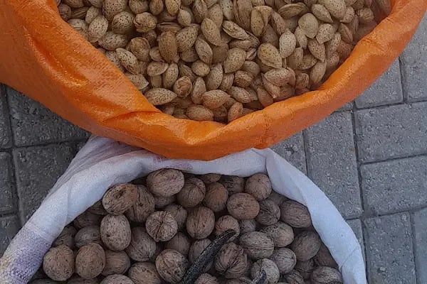 EFESU09 DOĞAL ÜRÜNLER VE MANAV (greengrocer)( зеленщик)TOPTAN VE PERAKENDE - Resim 8