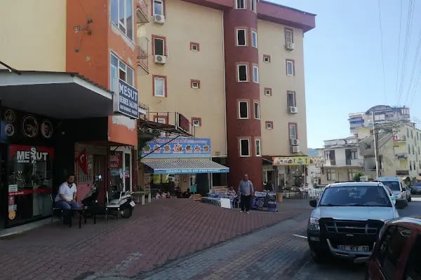 EFESU09 DOĞAL ÜRÜNLER VE MANAV (greengrocer)( зеленщик)TOPTAN VE PERAKENDE - Resim 6