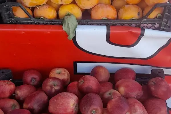 EFESU09 DOĞAL ÜRÜNLER VE MANAV (greengrocer)( зеленщик)TOPTAN VE PERAKENDE - Resim 9