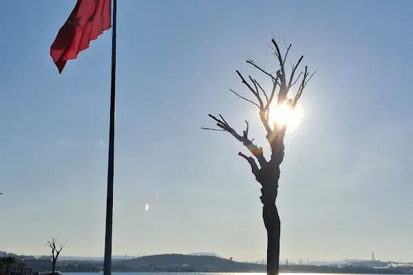 Rıhtım Cafe - Resim 8