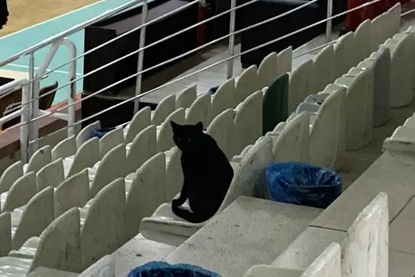 Gaziemir Spor Salonu - Resim 17