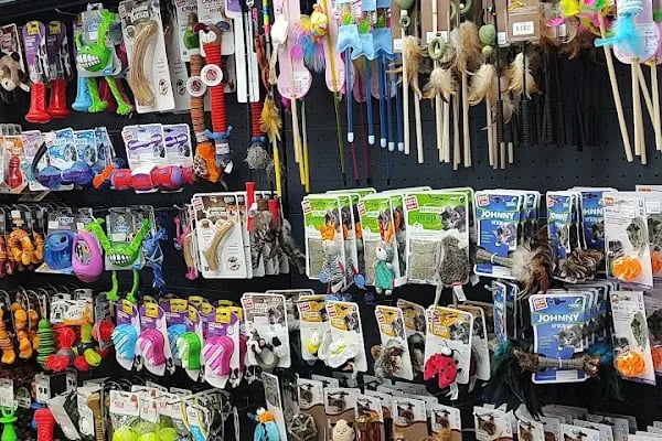 Lux Petshop - Resim 19