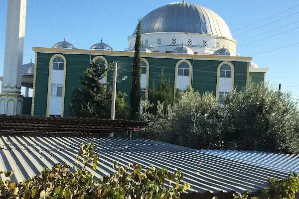 Hz. Ali Camii - Resim 8