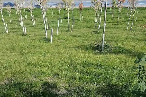 Keçiören Belediyesi Nursultan Nazarbayev Parkı - Resim 19