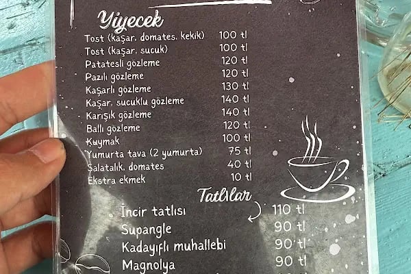 Hazan bahçe - Resim 12