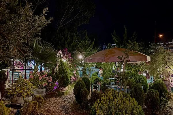 Hazan bahçe - Resim 7
