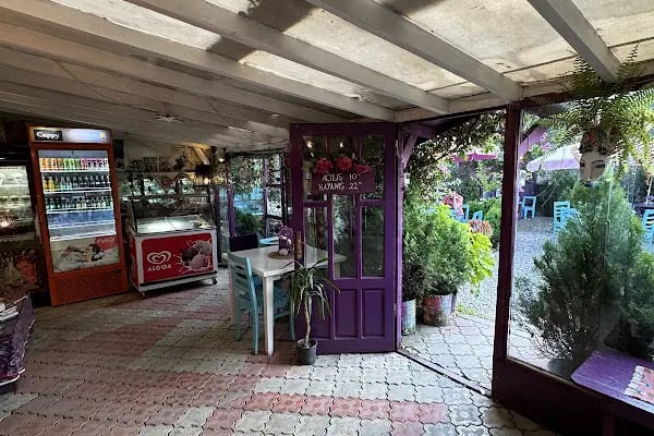 Hazan bahçe - Resim 19