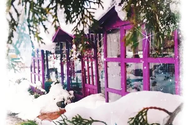 Hazan bahçe - Resim 17