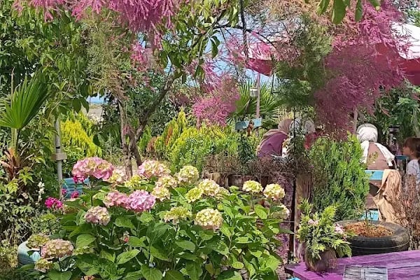 Hazan bahçe - Resim 5