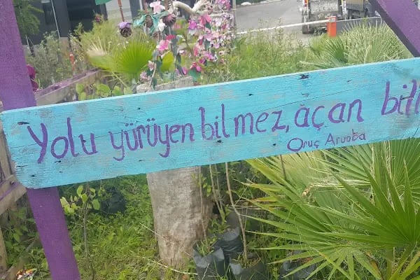 Hazan bahçe - Resim 14