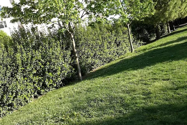Sezen Aksu Parkı - Resim 15