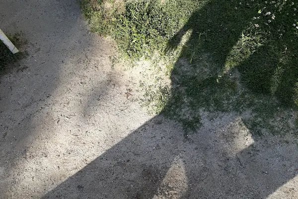 Sezen Aksu Parkı - Resim 12