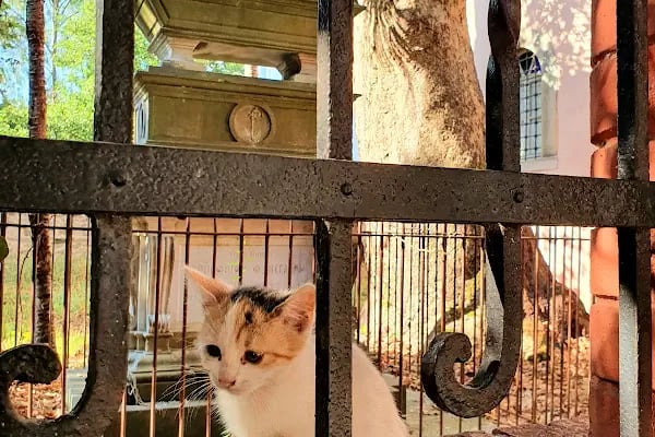 KUDDUSÜ ŞERİF RUM PATRİKHANESİNE BAĞLI YENİKÖY AYA YORGİ KİLİSESİ VE MANASTIRI VAKFI - Resim 15