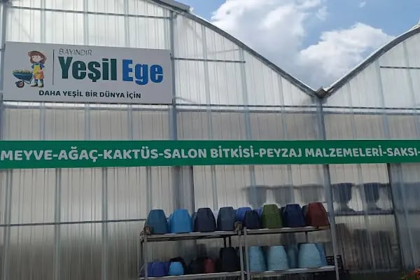 Bayındır Yeşil Ege Peyzaj - Resim 17