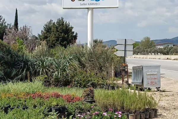 Bayındır Yeşil Ege Peyzaj - Resim 3
