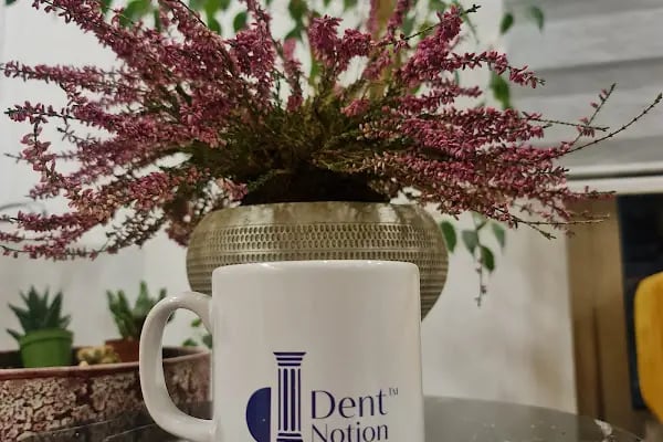Dent Notion I Diş hekimi Gürkan Zeybek I Menderes Diş Polikliniği - Resim 10