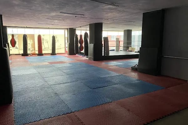 Ring Star Spor Kulübü - Resim 2