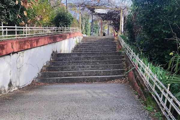 Yalova Atatürk Köşkü - Resim 15