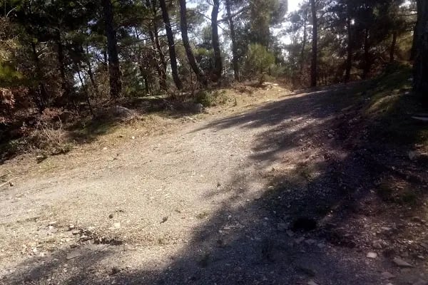Flamingo Park Bayındır - Resim 10