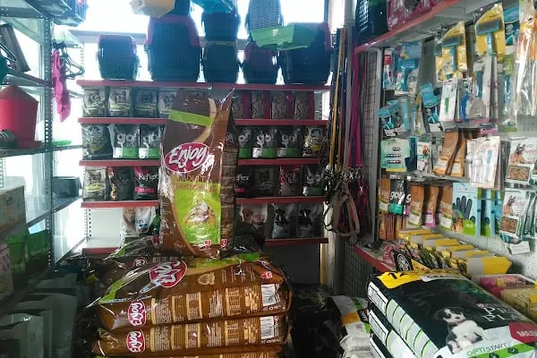 Köylü Akvaryum Petshop - Resim 4